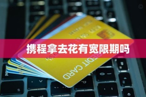 携程花有额度用不出去怎么办