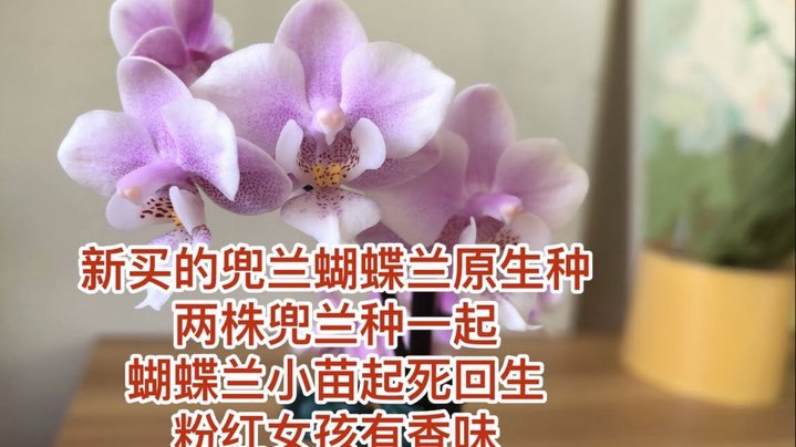 携程拿去花怎么提现金