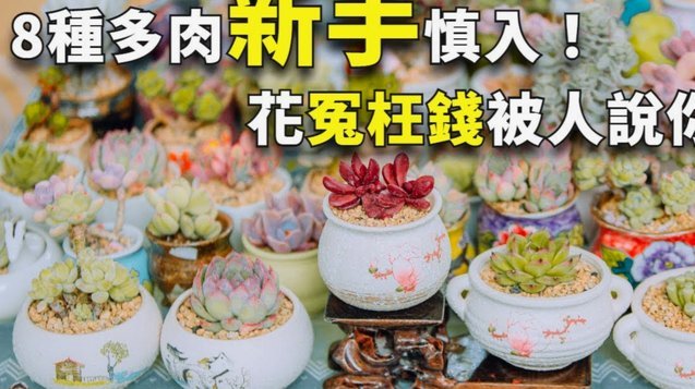 花呗借给他人风险大gleslas;