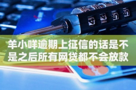 羊小咩当前放款政策解析