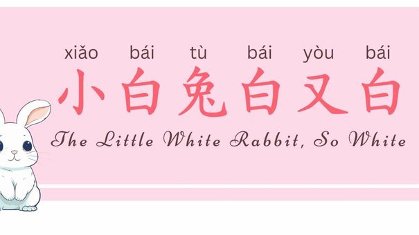 白条怎么申请延期还款