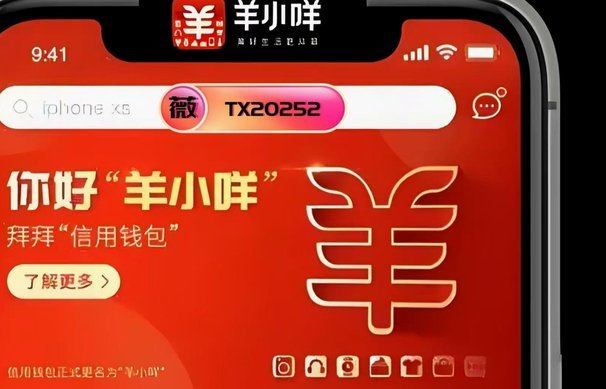 羊小咩便荔卡包额度如何合理提现技巧