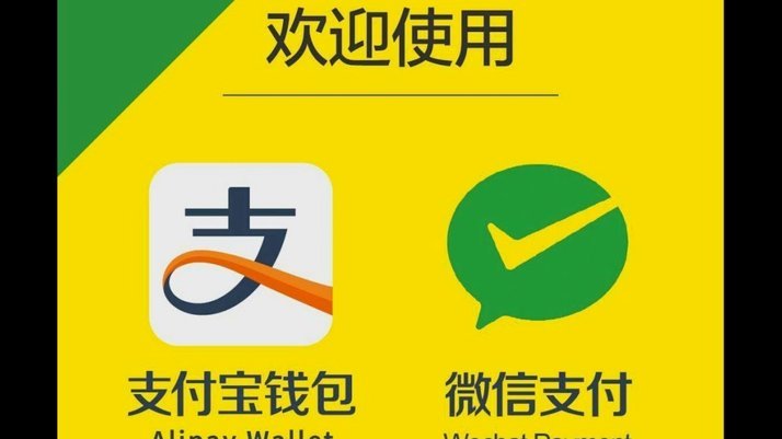 支付宝限制支出了急用钱怎么办