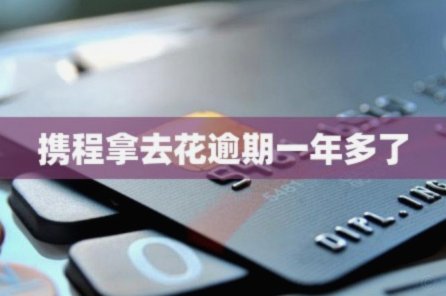 携程上面的拿去花怎么用不了