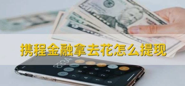 携程上面的拿去花怎么用不了