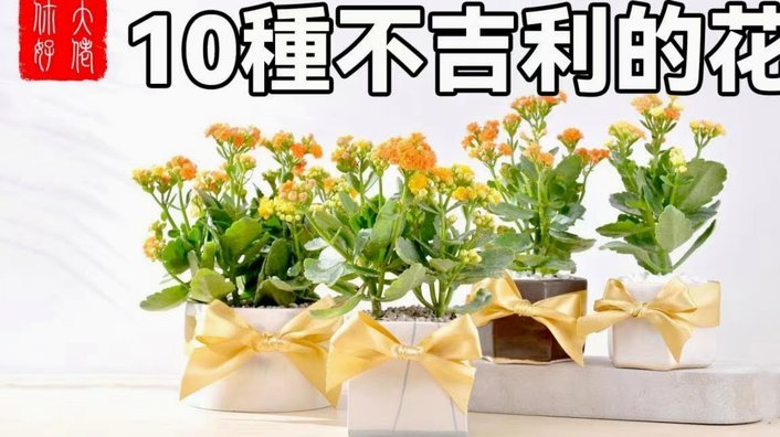 花呗消费多久需还款？