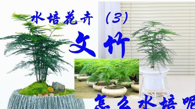 月付怎么灵活用