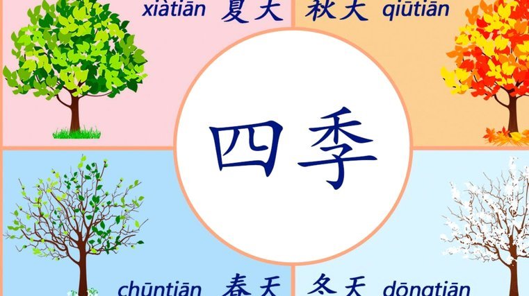 月付怎么套