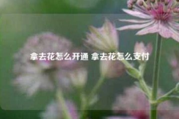 携程拿去花取现额度