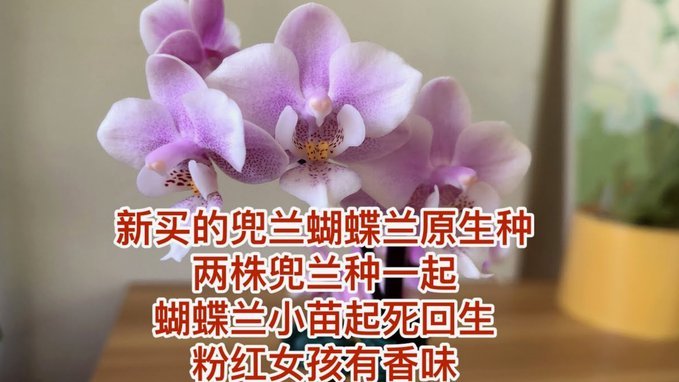 携程拿去花套出来怎么还款