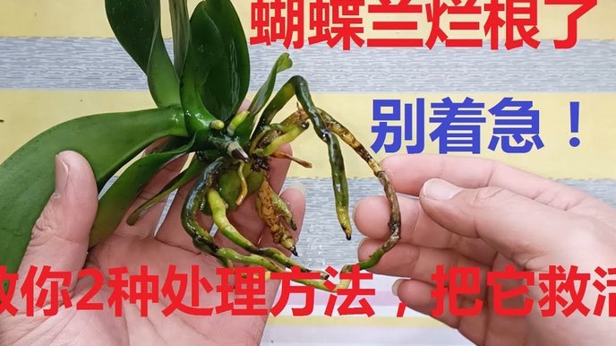 拿去花取现容易吗
