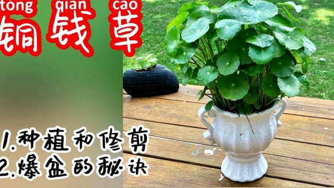 套花呗钱会怎么样