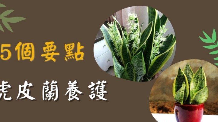 花呗套现致无法正常使用