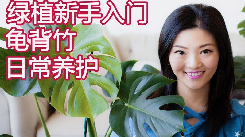 拿去花套现回收商家 怎么处罚