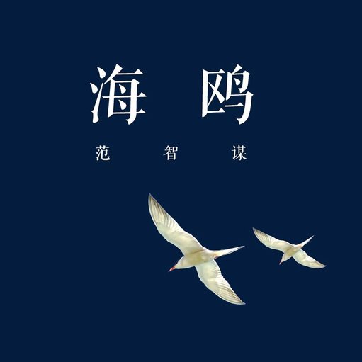 海鸥借款平台还款全攻略