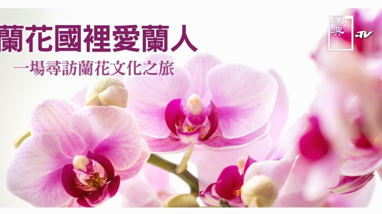 2021年花呗要禁止吗