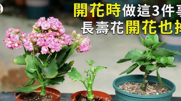 携程去花套现手续费与风险解析