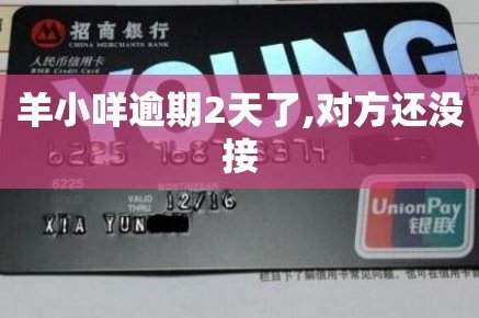 羊小咩通过放款不到账怎么办