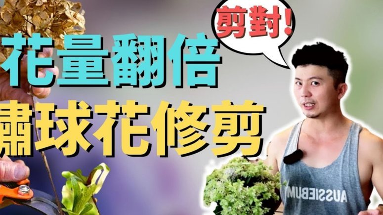 套现花呗需要手续费吗