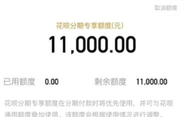 专享分期额度能刷出来吗