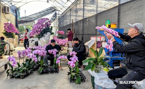 花呗服务平台电话