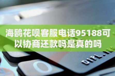 海鸥借款客服电话全解析