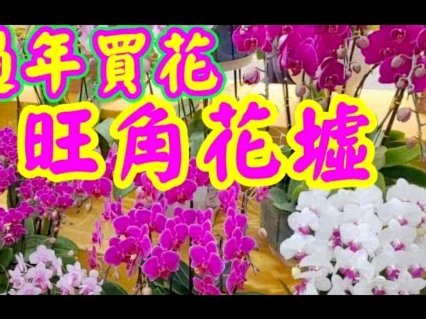 花呗现状：服务仍在但规则有变