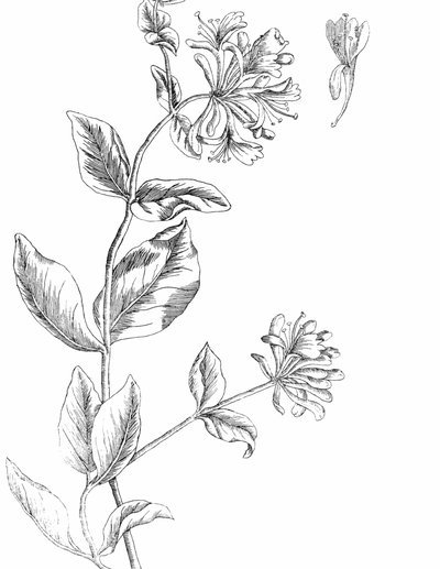 花B的钱怎么换成现金？
