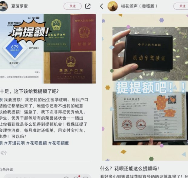 花呗套认定机制解析
