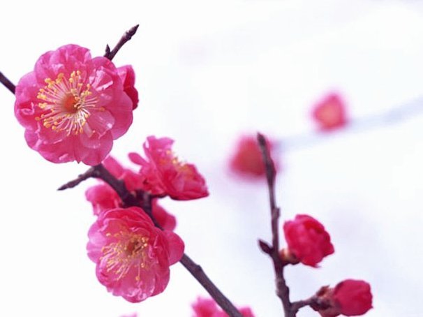 花呗怎样套现出来