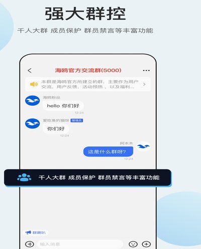 海鸥花呗：创新消费信贷平台详解