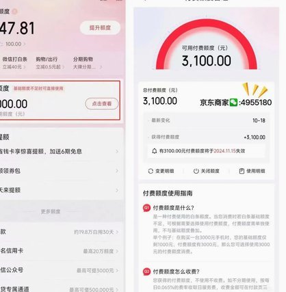 怎么把白条额度套现
