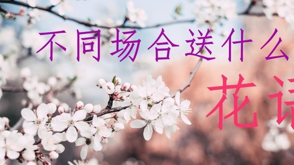 花呗最新调整：信用评估转向行为数据，额度动态管控