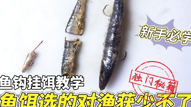 白条怎么钓上鱼最快