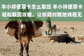 美团月付取现多久到账 取不出来
