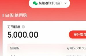 白条付费额度怎么套现出来
