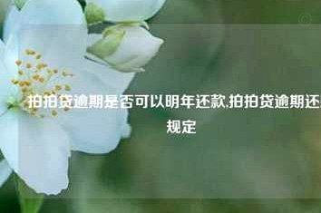 拍拍贷资金如何到账？深度解读“借卡”背后的运作机制