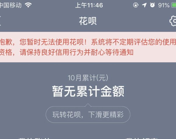 花呗状态异常暂不可用什么意思