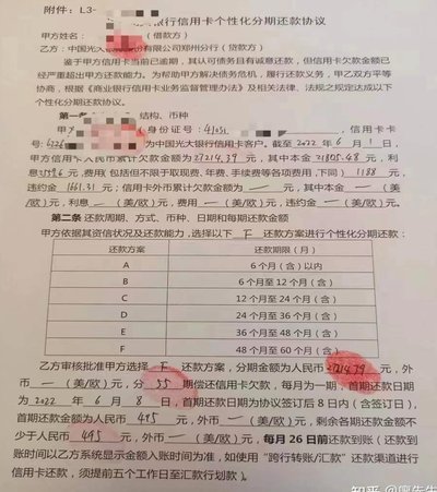 白条还款太难？延期或错付怎么办，指南一步步教你！