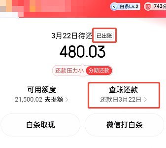 白条延迟还款怎么申请